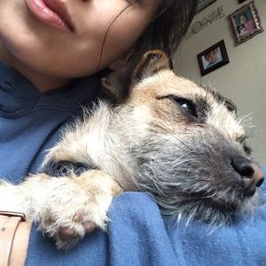 Meet your Posher, Kiara